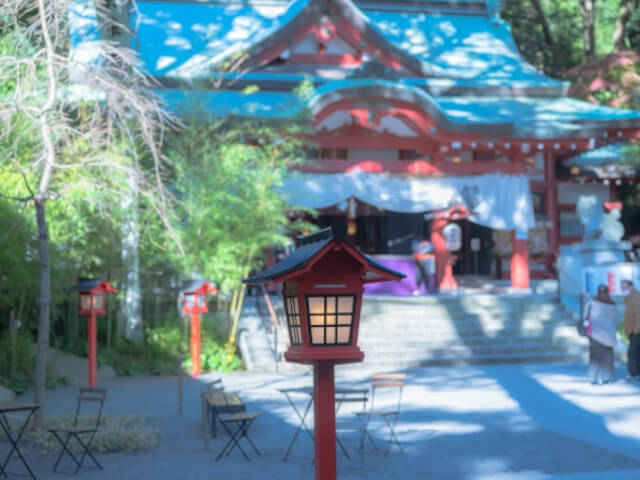 来宮神社の画像です