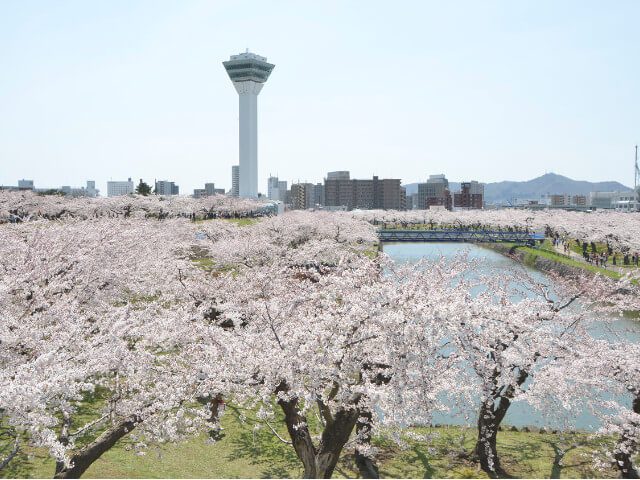 五稜郭の画像です