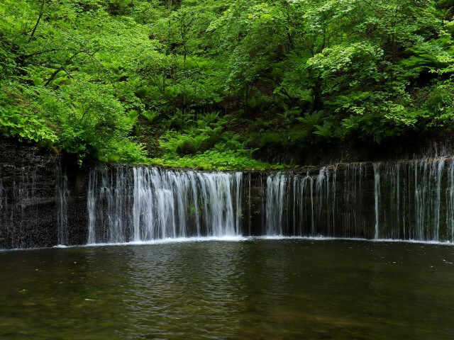 軽井沢の白糸の滝の画像です